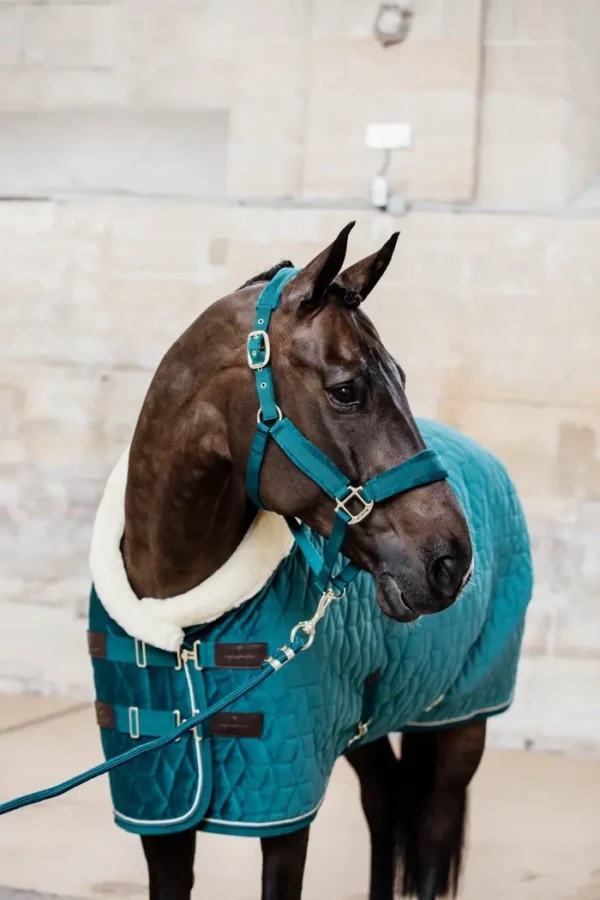 Kentucky Show Rug Velvet 160G - immagine 9