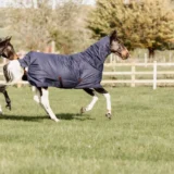 Coperta Turnout in Pile con collo 0g - immagine 6