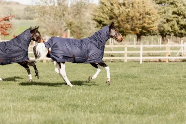 Coperta Turnout in Pile con collo 0g - immagine 6
