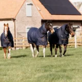 Coperta Turnout in Pile con collo 0g - immagine 7