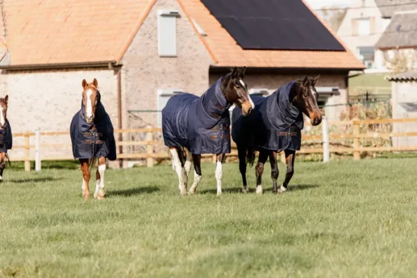 Coperta Turnout in Pile con collo 0g - immagine 7