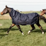 Coperta Turnout in Pile con collo 150g - immagine 7