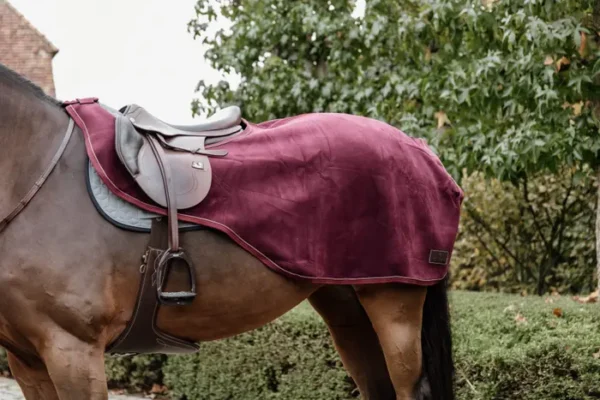 Coperta da Equitazione in Pile pesante - immagine 6