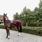 Coperta da Equitazione in Pile pesante - immagine 4
