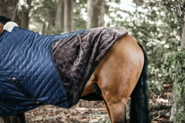 Coperta da scuderia - immagine 8