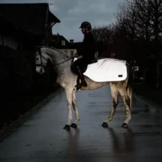 Coperta da Equitazione Reflective