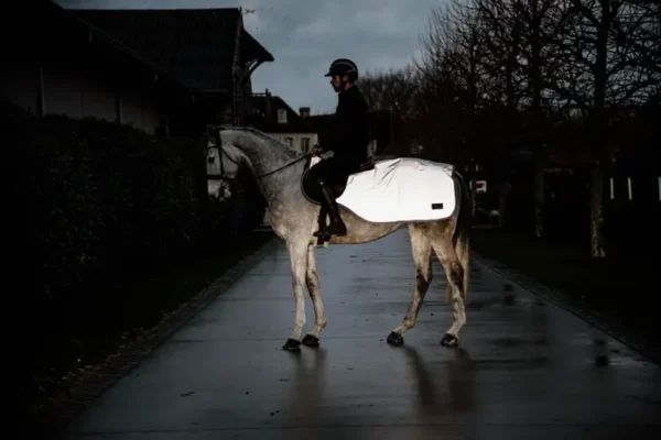 Coperta da Equitazione Reflective