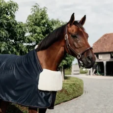 Pettorina per cavallo