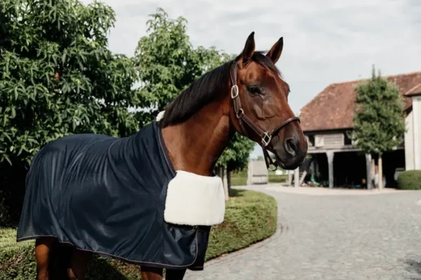 Pettorina per cavallo