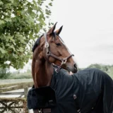 Pettorina per cavallo - immagine 6