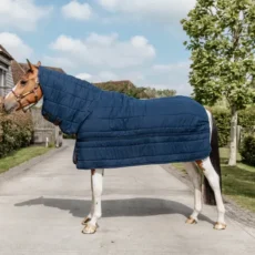 Kentucky Under Rug NECK