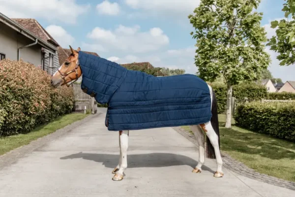 Kentucky Under Rug NECK