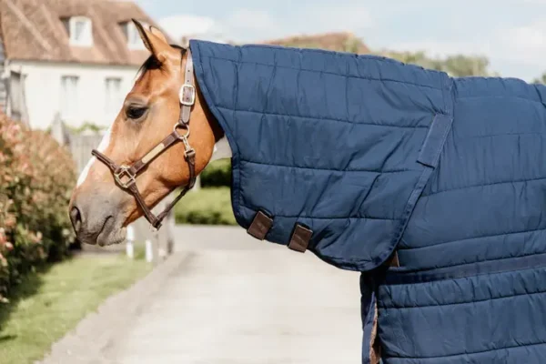 Kentucky Under Rug NECK - immagine 3