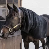 Sciarpa in pile pesante - immagine 7