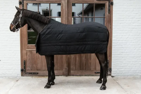 BIB Cavallo Impermeabile - immagine 10