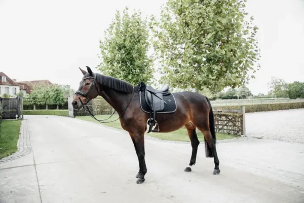 Sottosella Trapunta a Stella da Dressage - immagine 14