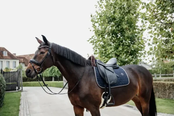 Sottosella Trapunta a Stella da Dressage - immagine 7