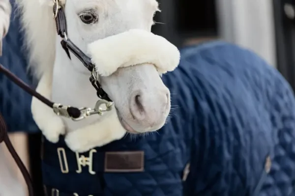 Kentucky Show Rug 160G - immagine 24