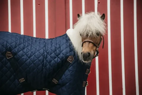 Kentucky Stable Rug 400g - immagine 19