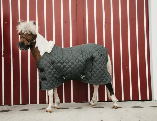 Kentucky Stable Rug 400g - immagine 11