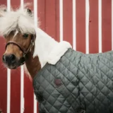 Kentucky Stable Rug 400g - immagine 13