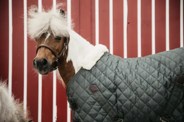 Kentucky Stable Rug 400g - immagine 13