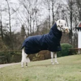 Coperta Turnout 300g - immagine 5