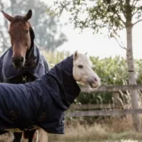 Coperta Turnout 300g - immagine 7