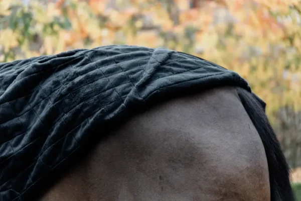 Coperta da scuderia - immagine 3