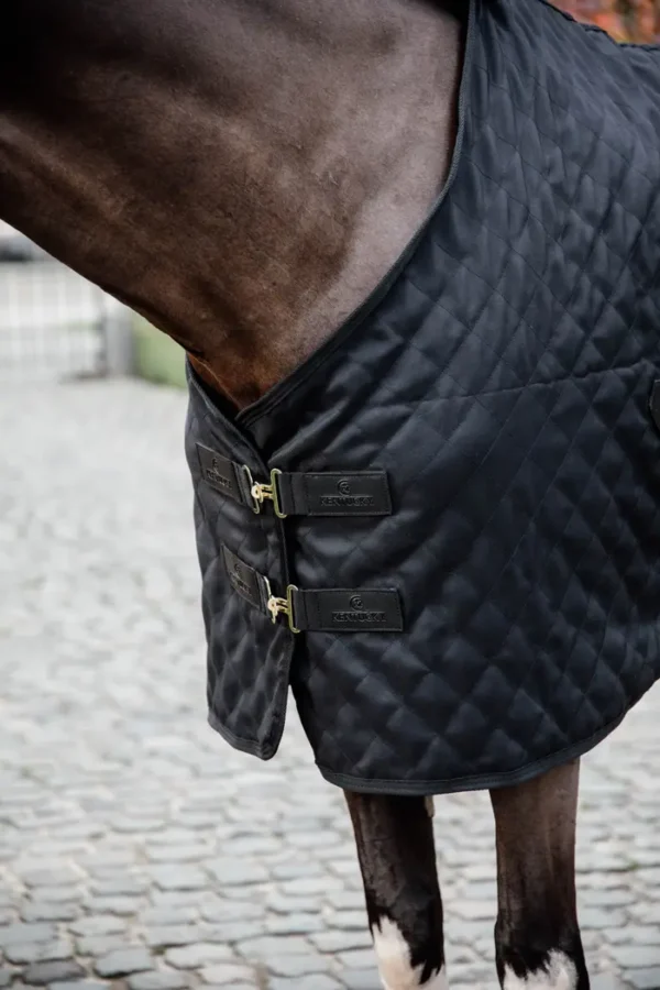 Coperta da scuderia - immagine 5