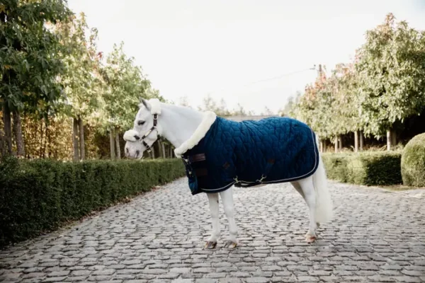 Kentucky Show Rug Velvet 160G - immagine 28