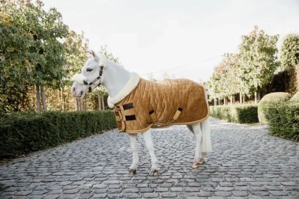Kentucky Show Rug Velvet 160G - immagine 15