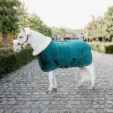 Kentucky Show Rug Velvet 160G - immagine 12