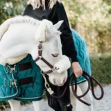 Kentucky Show Rug Velvet 160G - immagine 14