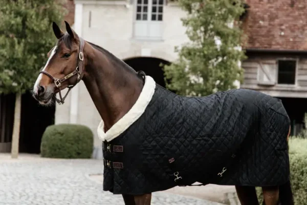 Kentucky Show Rug 160G - immagine 4