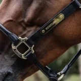 Targhetta con Logo