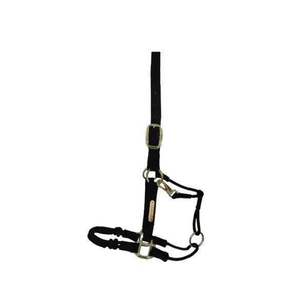 Control Halter - immagine 2