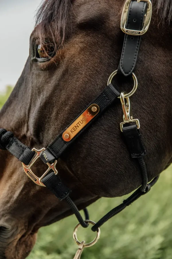 Control Halter - immagine 4