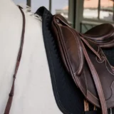 Sottosella Lisca di Pesce da Dressage - immagine 13