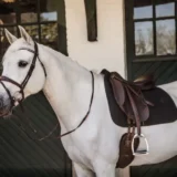 Sottosella Lisca di Pesce da Dressage - immagine 14