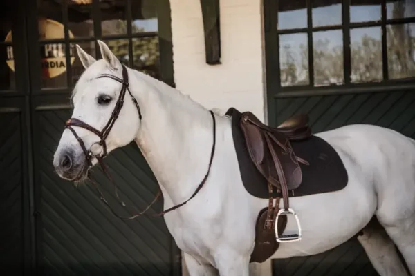 Sottosella Lisca di Pesce da Dressage - immagine 14
