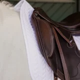 Sottosella Lisca di Pesce da Dressage - immagine 8