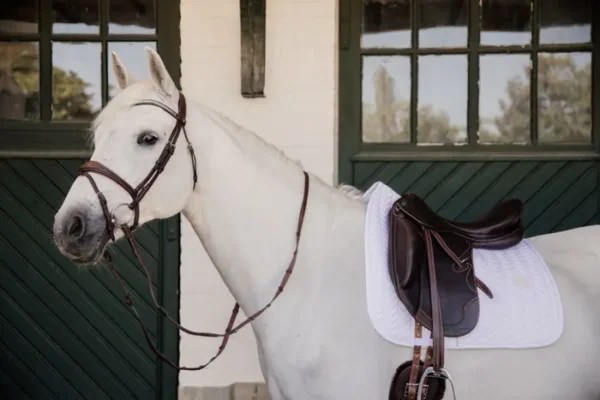 Sottosella Lisca di Pesce da Dressage - immagine 9