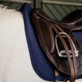 Sottosella Lisca di Pesce da Dressage - immagine 4