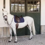 Sottosella Lisca di Pesce da Dressage - immagine 5