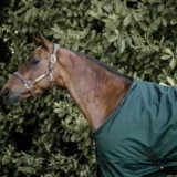 Coperta Turnout 160g - immagine 12