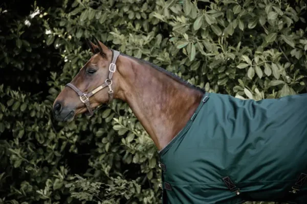 Coperta Turnout 160g - immagine 12