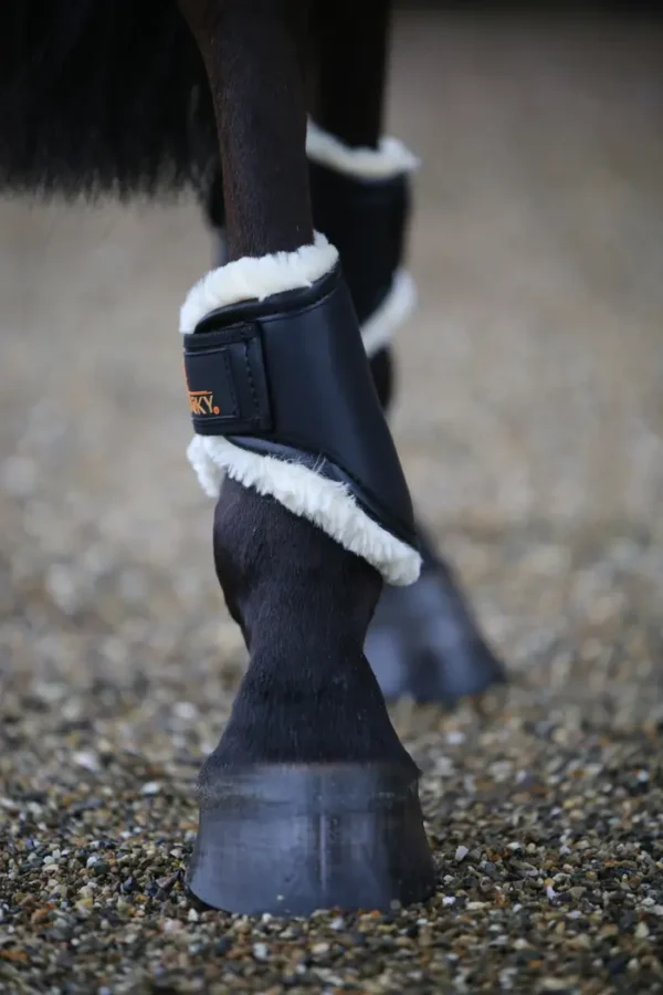 Parastinchi in Pelle Hind Short - immagine 3