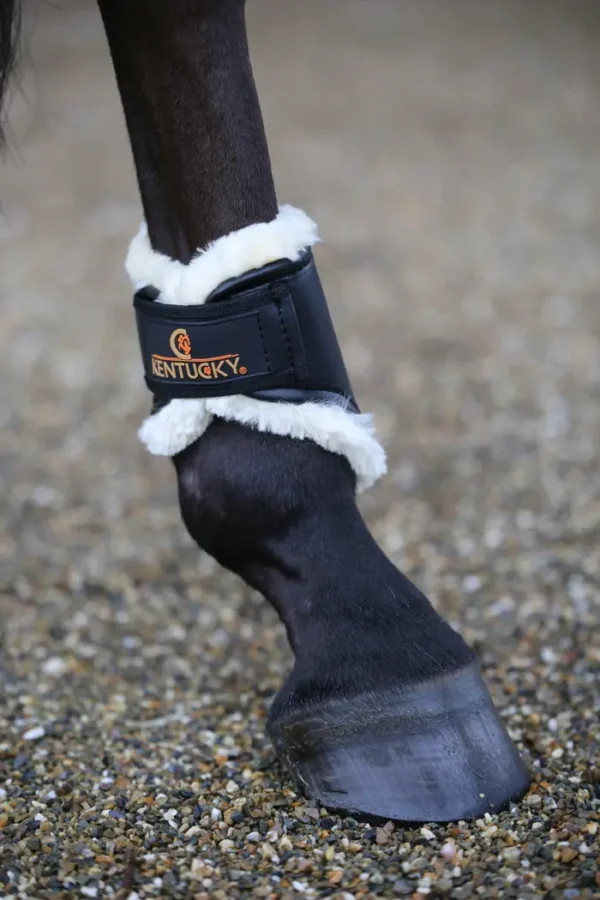 Parastinchi in Pelle Hind Short