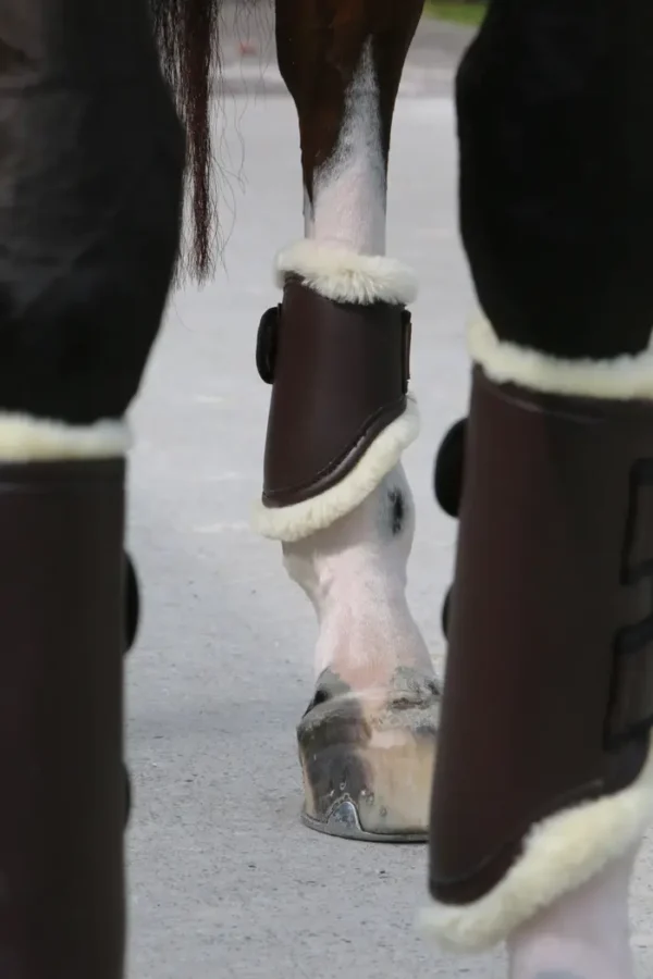 Parastinchi in Pelle Hind Short - immagine 7